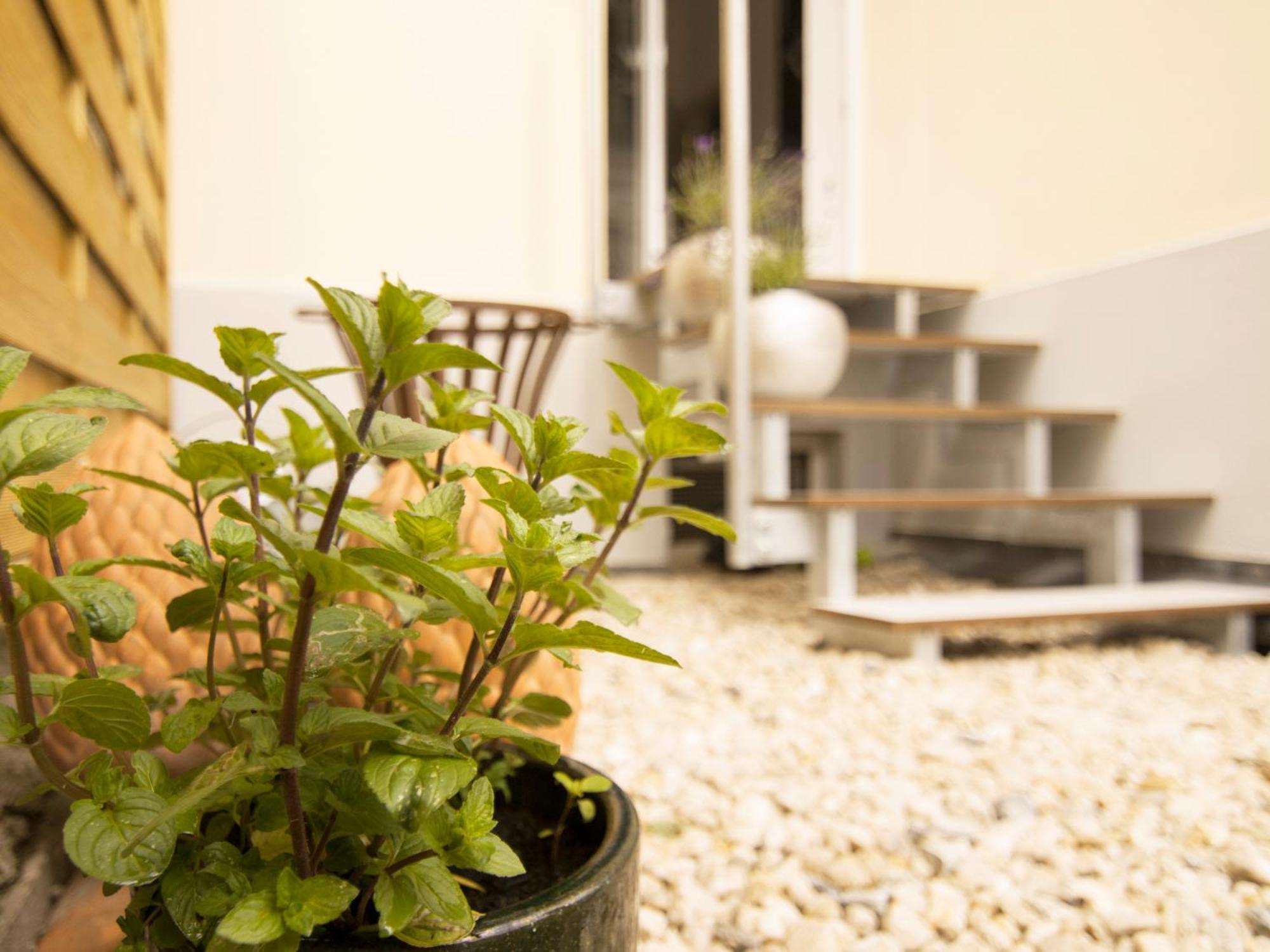 גרה Bauhaus Design-Luxus Apartment, 20Er Jahre Stil, Garten מראה חיצוני תמונה